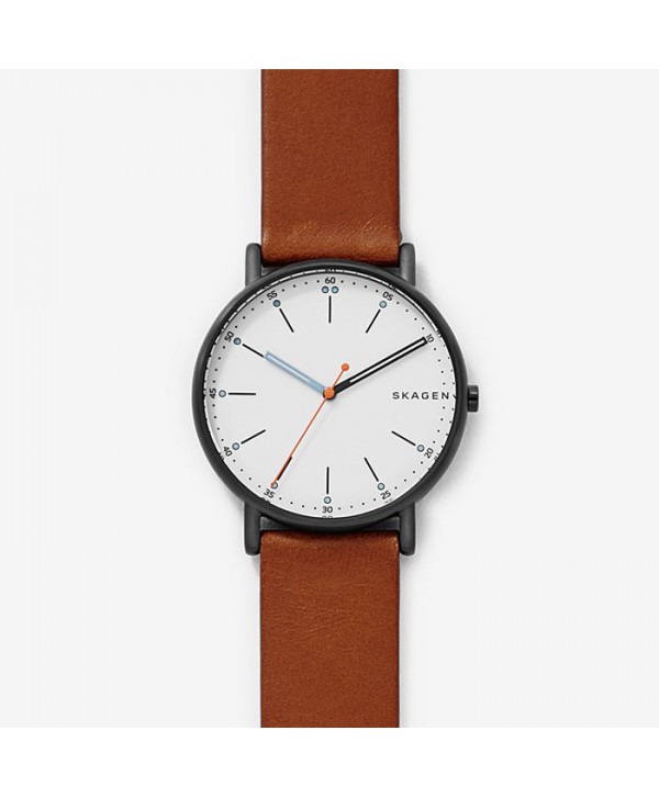 Orologio Uomo Skagen Signatur SKW6374